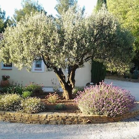 Maison Privee Au Calme Dans Mas Provencal Villa Sanary-sur-Mer Exteriör bild